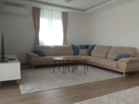 Izdavanje, jednosoban stan, 100m², Zagorič, Podgorica - image 11