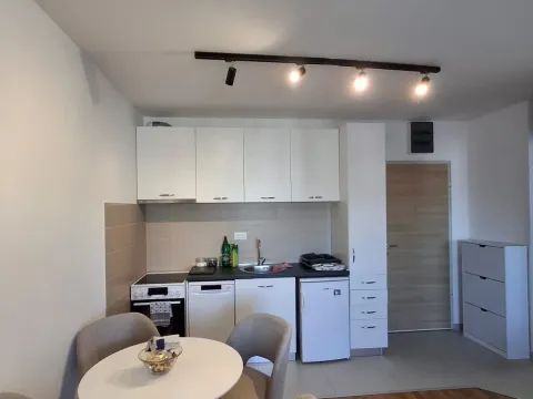 Rent, one bedroom apartment, 40m², Ljubović, Podgorica - image 1