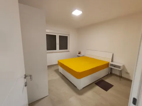 Prodaja, kuća, 292m², Tršić, Loznica - image 6