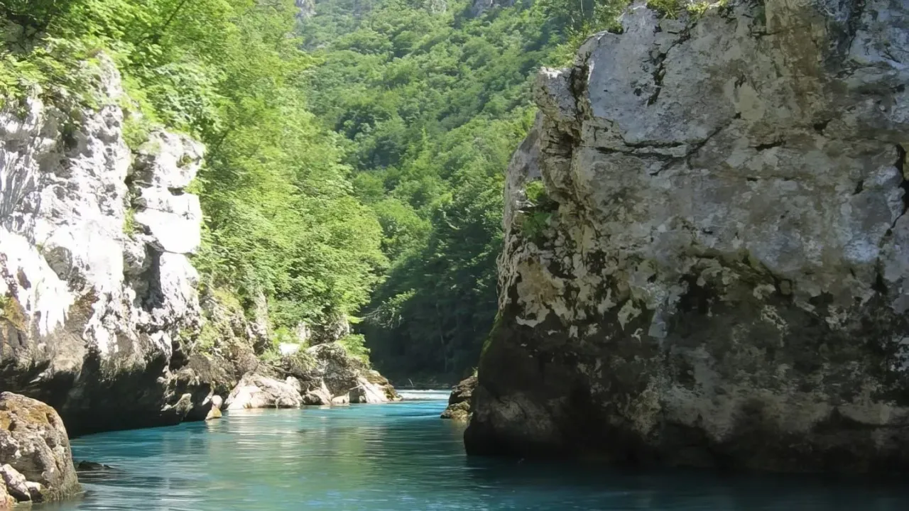 Prodaja, plac, 23425m², Plužine, Crna Gora