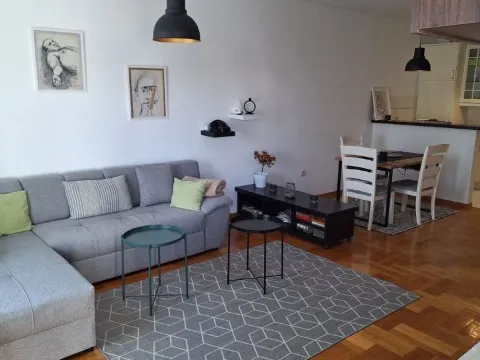 Izdavanje, jednosoban stan, 55m², Tuški Put, Podgorica - image 5