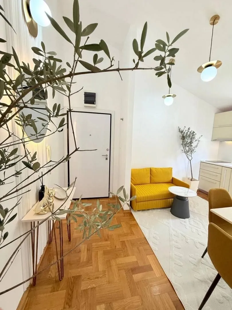 Prodaja, jednosoban stan, 26m², Petrovac, Budva