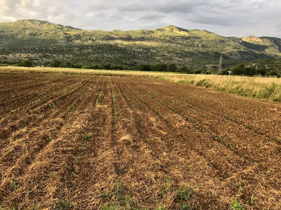 Prodaja, plac, 2200m², Jelenak, Danilovgrad