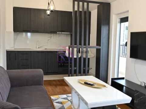 Rent, one bedroom apartment, 50m², Podgorica, Crna Gora - image 6