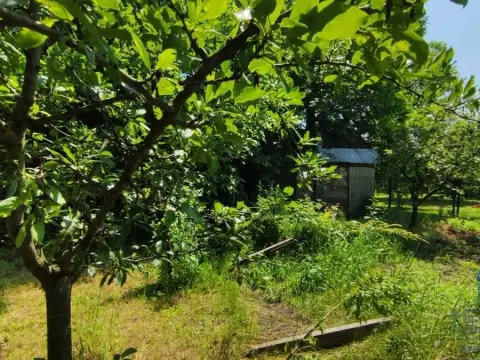 Prodaja, kuća, 75m², Ribare, Jagodina - image 13