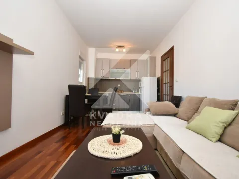 Izdavanje, jednosoban stan, 45m², City Kvart, Podgorica - image 2