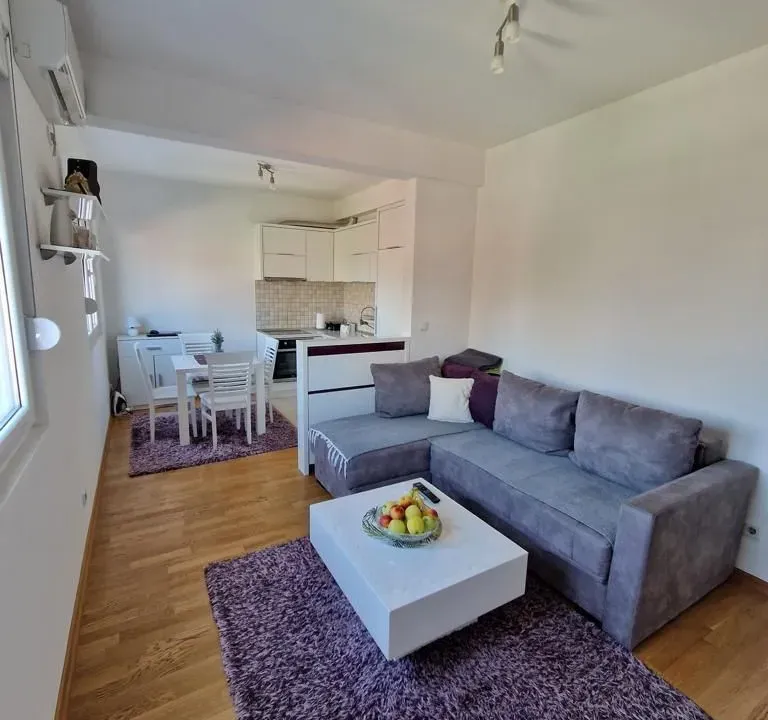 Rent, one bedroom apartment, 41m², Drac, Podgorica