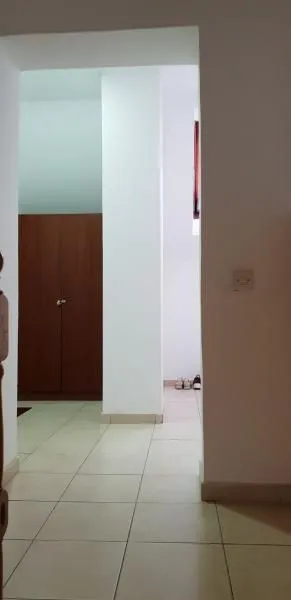 Sale, house, 280m², Telep, Novi Sad Sve Podlokacije