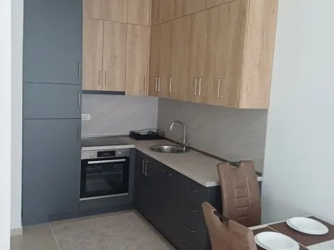 Izdavanje, jednosoban stan, 44m², Stari Aerodrom, Podgorica - image 4