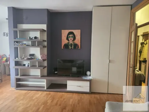 Izdavanje, dvosoban stan, 55m², Pasino Brdo, Voždovac Sve Podlokacije - image 4