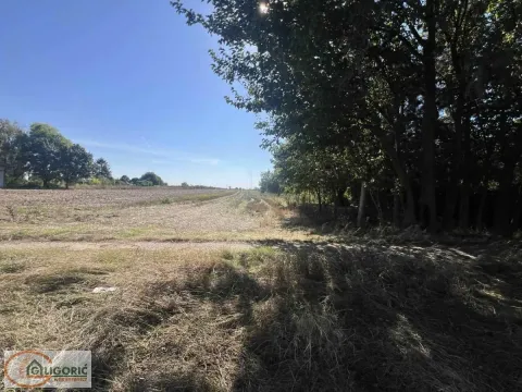 Sale, land lot, 44m², Vojlovica, Pančevo