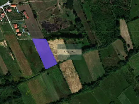 Prodaja, plac, 26939m², Kragujevac, Srbija - image 5