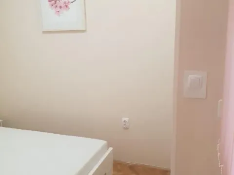 Izdavanje, jednosoban stan, 42m², Novi Sad, Srbija - image 14