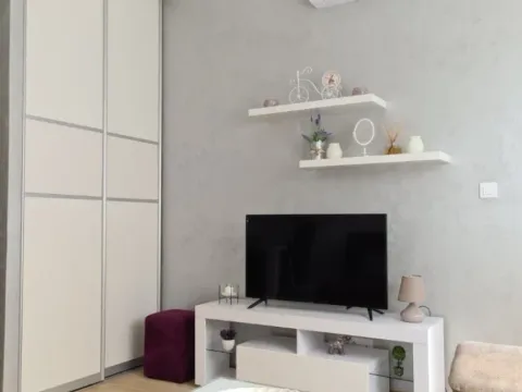 Izdavanje, garsonjera, 30m², Dubovica, Budva - image 4