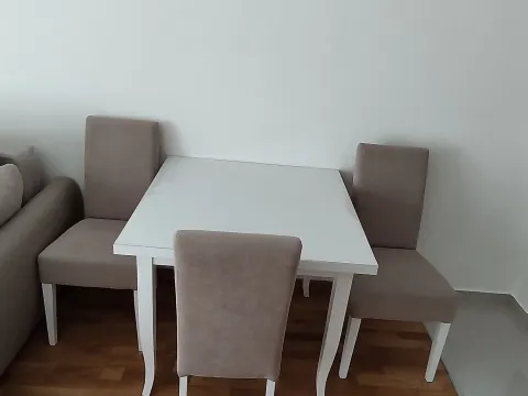 Izdavanje, jednosoban stan, 40m², Zabjelo, Podgorica - image 2