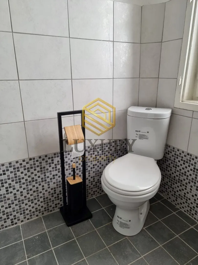 Small bathroom with a toilet bowl and a toilet paper holder.