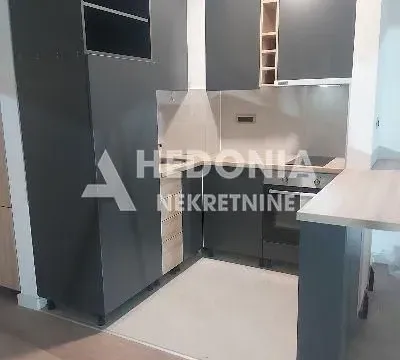 Izdavanje, jednosoban stan, 42m², Novi Beograd Blok 65, Novi Beograd Sve Podlokacije - image 3
