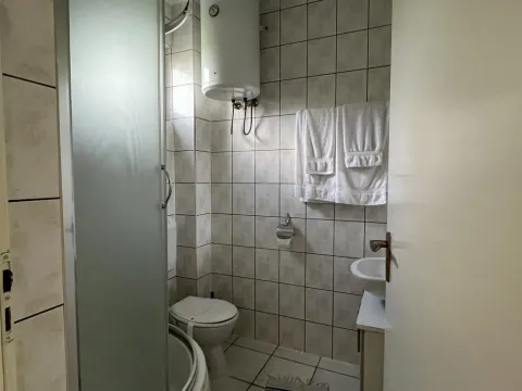 Prodaja, kuća, 456m², Palić, Subotica - image 18