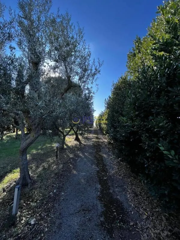 Prodaja, kuća, 200m², Bar, Crna Gora