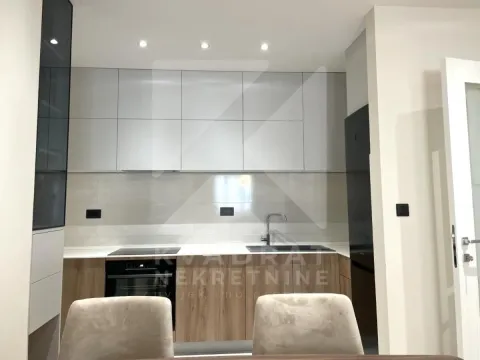 Izdavanje, jednosoban stan, 53m², Central Point, Podgorica - image 8