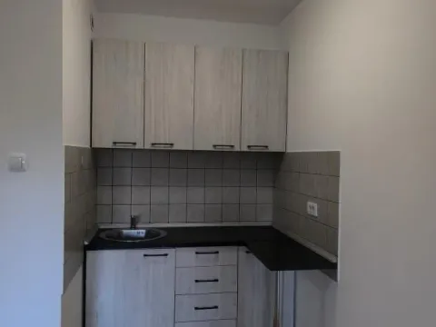 Rent, two bedroom apartment, 55m², Bulevar patrijarha Pavla, Novi Sad Sve Podlokacije - image 2