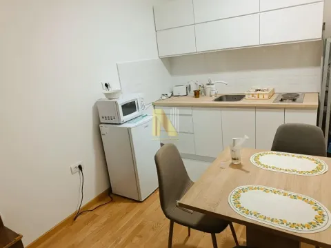 Izdavanje, jednosoban stan, 32m², Adice, Novi Sad Sve Podlokacije - image 3