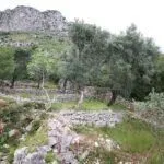 Prodaja, plac, 2650m², Reževići, Budva - image 14