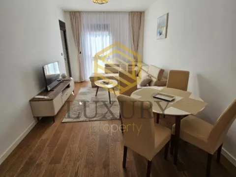 Izdavanje, jednosoban stan, 45m², Centar, Podgorica - image 10