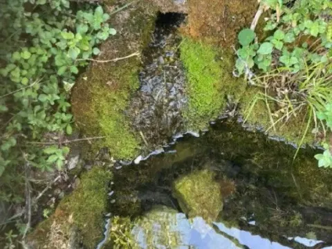 Sale, house, 42m², Tuđemili, Bar - image 2