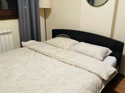 Rent, three bedroom apartment, 65m², Profesorska Kolonija, Palilula Sve Podlokacije - image 8