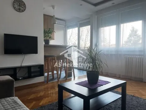 Izdavanje, dvosoban stan, 50m², Uciteljsko Naselje, Zvezdara Sve Podlokacije - image 3