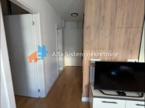 Izdavanje, dvosoban stan, 45m², Novi Beograd Blok 63, Novi Beograd Sve Podlokacije - image 13