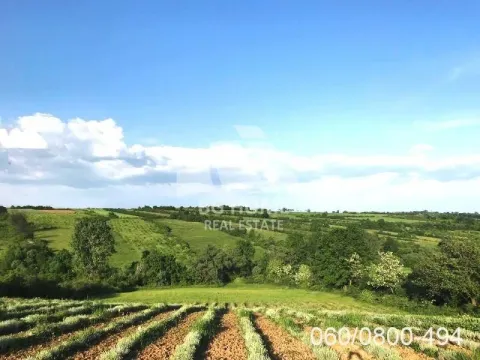 Zemljište in Velika Ivanča