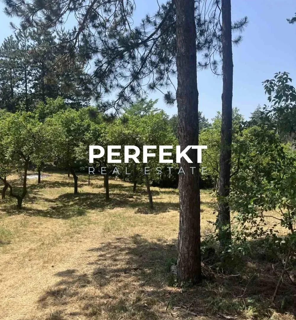Prodaja, kuća, 43m², Alibunar, Srbija