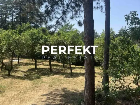 Prodaja, kuća, 43m², Alibunar, Srbija - image 15