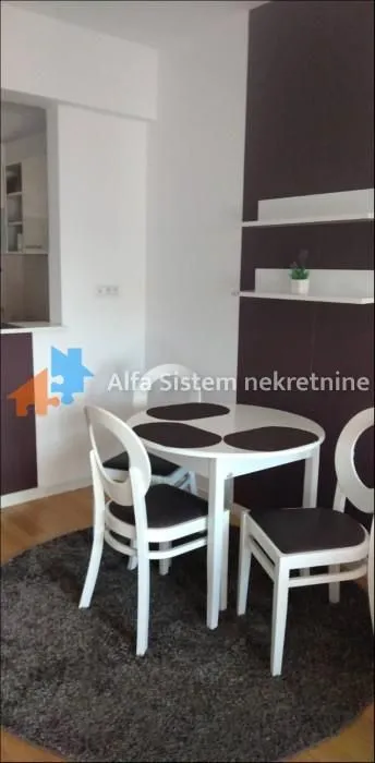 Izdavanje, dvosoban stan, 52m², Novi Beograd Blok 67, Novi Beograd Sve Podlokacije