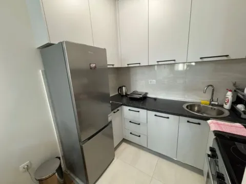 Izdavanje, jednosoban stan, 47m², Central Point, Podgorica - image 2