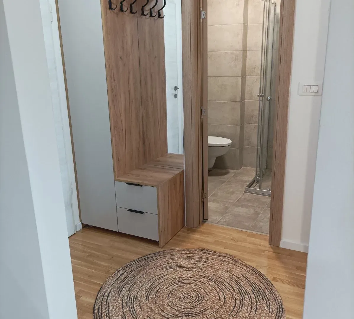 Rent, one bedroom apartment, 43m², Zabjelo, Podgorica