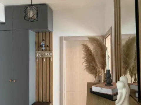 Izdavanje, jednosoban stan, 60m², Stari Aerodrom, Podgorica - image 17