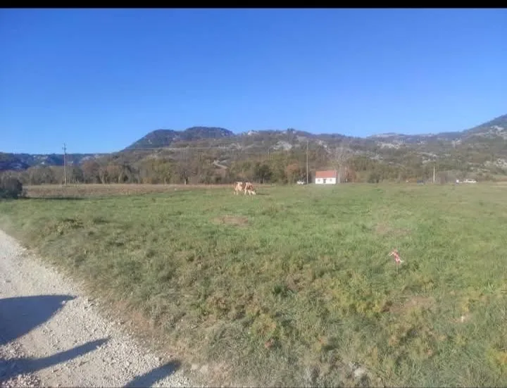 Prodaja, plac, 2000m², Grahovo, Nikšić