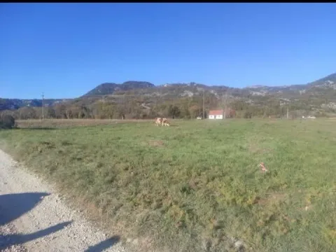 Prodaja, plac, 2000m², Grahovo, Nikšić - image 5