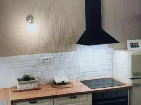 Izdavanje, trosoban stan, 55m², Vračar Hram, Vračar Sve Podlokacije - image 11