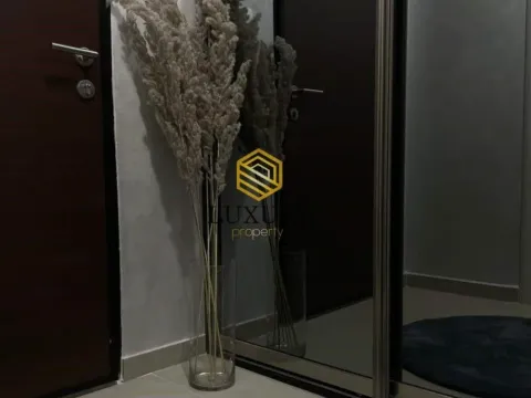 Rent, one bedroom apartment, 50m², Ljubović, Podgorica - image 9