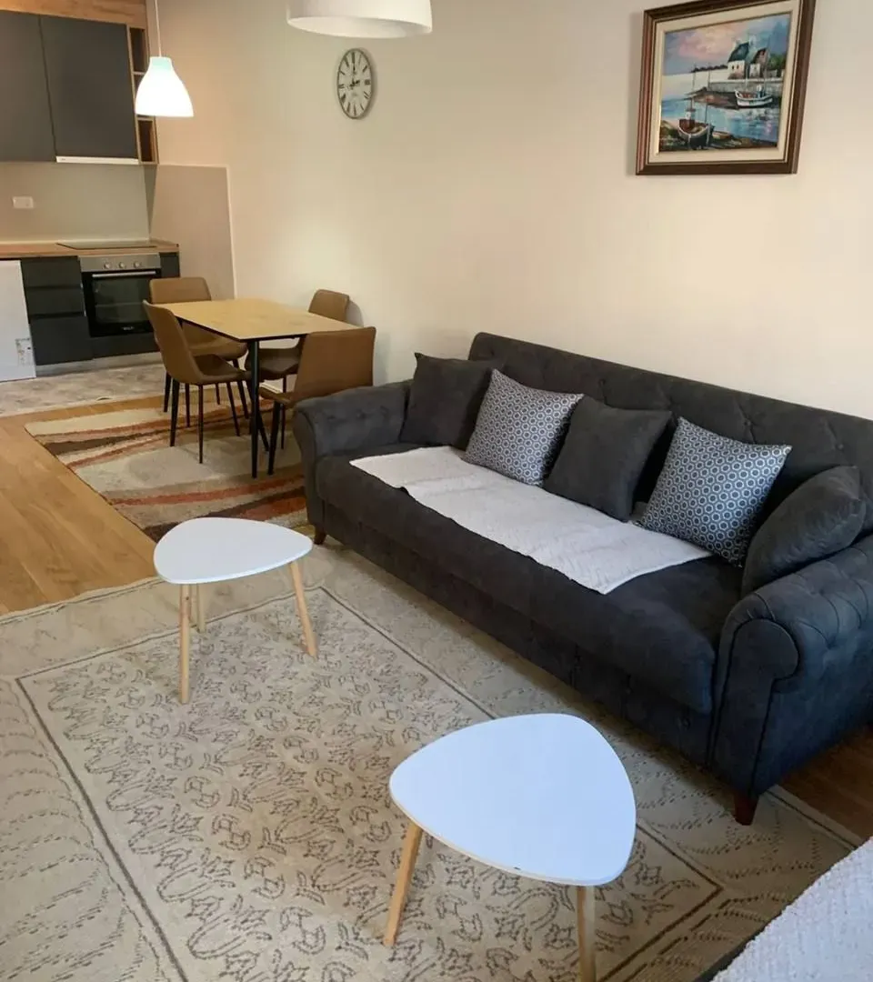 Izdavanje, jednosoban stan, 49m², Central Point, Podgorica