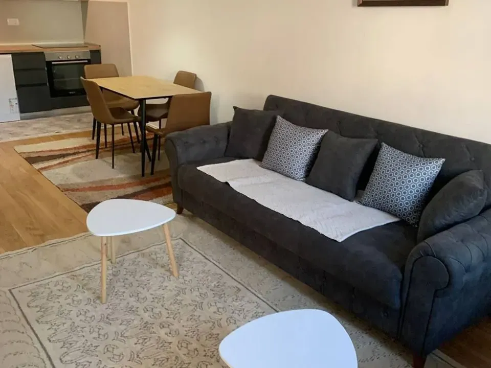 Izdavanje, jednosoban stan, 49m², Central Point, Podgorica