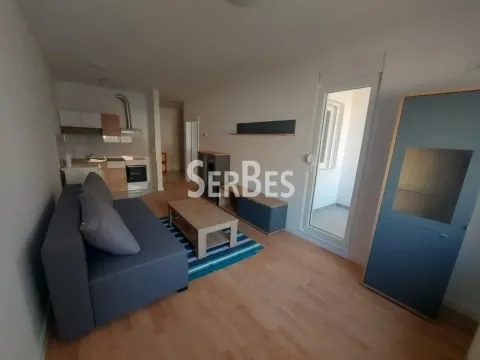 Izdavanje, dvosoban stan, 42m², Telep, Novi Sad Sve Podlokacije - image 2