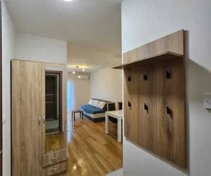 Izdavanje, jednosoban stan, 40m², Central Point, Podgorica - image 10