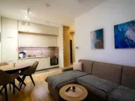 Rent, one bedroom apartment, 45m², Tološi, Podgorica - image 1