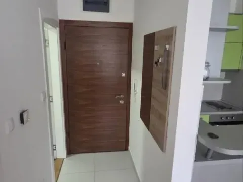 Rent, one bedroom apartment, 30m², Rotkvarija, Novi Sad Sve Podlokacije - image 7