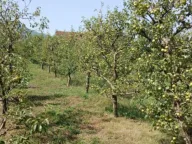 Sale, house, 80m², Ozrinići, Nikšić - image 9